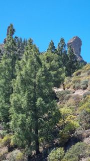 2023-04-GranCan-Roque_Nublo-007.jpg